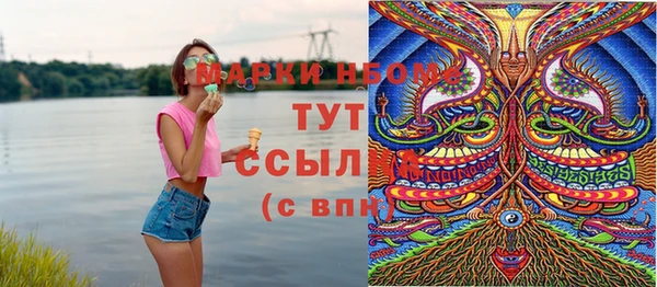 соль ск Осташков