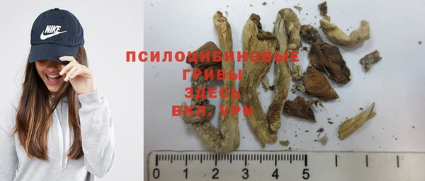 стаф Болхов