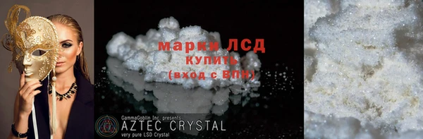 стаф Болхов