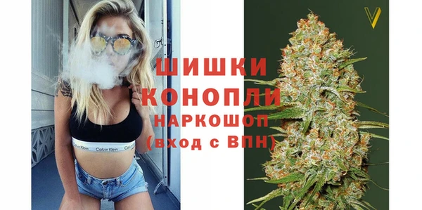 стаф Болхов