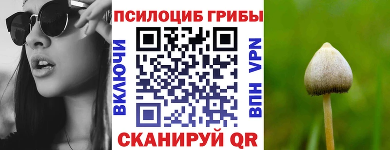 где купить наркоту  Пудож  Галлюциногенные грибы мицелий 